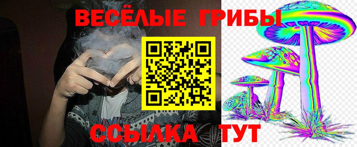 Котельники  закладка  Вход с VPN  Галлюциногенные грибы мицелий 